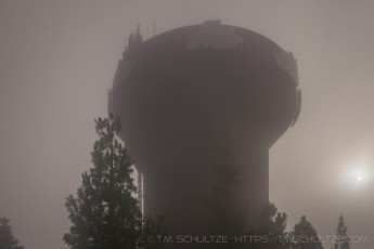 Brown Mushroom is a photograph by T.M. Schultze taken at ,