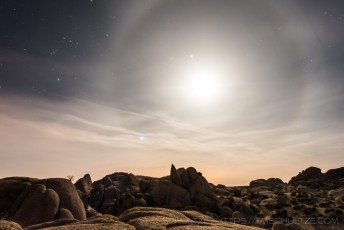 Moon Dog is a photograph by T.M. Schultze taken 2012 at Joshua Tree National Park, California