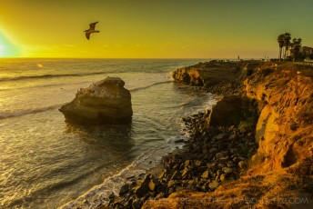 is a photograph by T.M. Schultze taken at San Diego, California