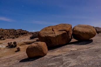 JT42 is a photograph by T.M. Schultze taken 2012 at Joshua Tree National Park, California