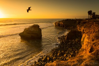 SC34 is a photograph by T.M. Schultze taken 2012 at San Diego, California
