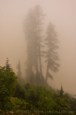 NC22 is a photograph by T.M. Schultze taken 2012 at North Cascades National Park, Washington
