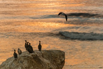 is a photograph by T.M. Schultze taken at ,