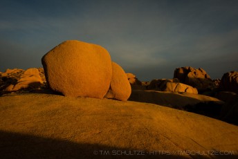 is a photograph by T.M. Schultze taken at Joshua Tree National Park, California