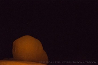 is a photograph by T.M. Schultze taken at Joshua Tree National Park, California
