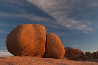 is a photograph by T.M. Schultze taken at Joshua Tree National Park, California