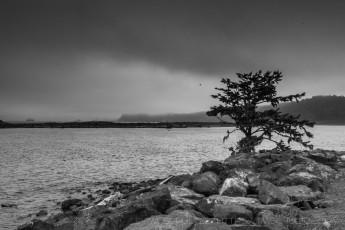 is a photograph by T.M. Schultze taken at Olympic National Park, Washington