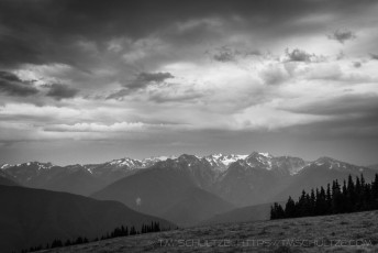 Storm On Hurricane Ridge is a photograph by T.M. Schultze taken at Olympic National Park, Washington