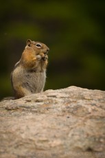 is a photograph by T.M. Schultze taken at Rocky Mountain National Park, Colorado