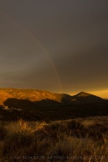 is a photograph by T.M. Schultze taken at Laguna Mountains, California