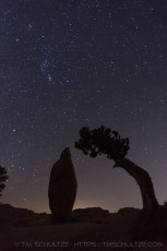 is a photograph by T.M. Schultze taken at Joshua Tree National Park, California