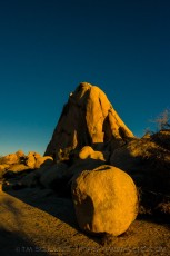 is a photograph by T.M. Schultze taken at Joshua Tree National Park, California