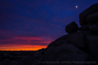 is a photograph by T.M. Schultze taken at Joshua Tree National Park, California