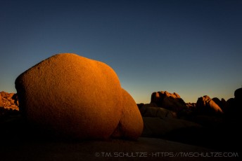 is a photograph by T.M. Schultze taken at Joshua Tree National Park, California