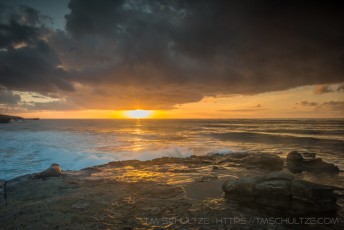 A Seal's Sunset is a photograph by T.M. Schultze taken at San Diego, California