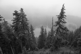 Lake Is Hidden is a photograph by T.M. Schultze taken at Mt. Rainier National Park, Washington