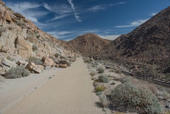 OH8056 is a photograph by T.M. Schultze taken 2013 at Mountain Spring, California