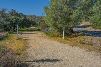 OH8073 is a photograph by T.M. Schultze taken 2013 at Descanso, California