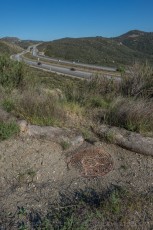 OH8086 is a photograph by T.M. Schultze taken 2013 at Descanso, California