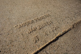 Wildwood Glen Date Stamp - Old Highway 80 is a photograph by T.M. Schultze taken 2013 at Descanso, California