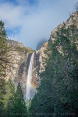YNP37 is a photograph by T.M. Schultze taken 2017 at Yosemite National Park, California