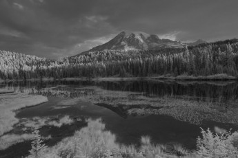 is a photograph by T.M. Schultze taken at Mt. Rainier National Park, Washington