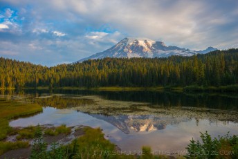 is a photograph by T.M. Schultze taken at Mt. Rainier National Park, Washington