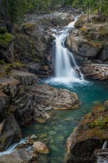 MRNP10 is a photograph by T.M. Schultze taken at Mt. Rainier National Park, Washington
