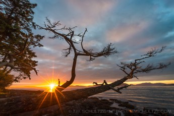 Washington Park Sunset is a photograph by T.M. Schultze taken 2014 at Anacortes, Washington