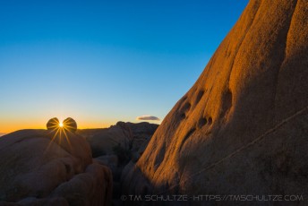 Heartbreak and Hope is a photograph by T.M. Schultze taken at Joshua Tree National Park, California