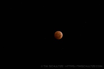is a photograph by T.M. Schultze taken at ,