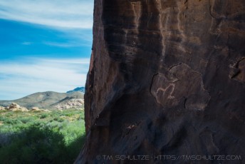 is a photograph by T.M. Schultze taken at , Nevada