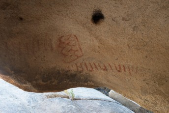 is a photograph by T.M. Schultze taken at Joshua Tree National Park, California