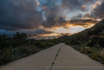 is a photograph by T.M. Schultze taken at Descanso, California