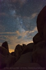 JT37 is a photograph by T.M. Schultze taken 2014 at Joshua Tree National Park, California