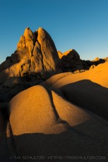 is a photograph by T.M. Schultze taken at Joshua Tree National Park, California