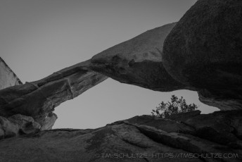 is a photograph by T.M. Schultze taken at Joshua Tree National Park, California