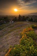 is a photograph by T.M. Schultze taken at , California