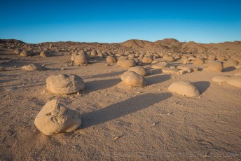 ABD210 is a photograph by T.M. Schultze taken 2014 at Ocotillo Wells, California