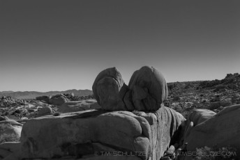 Chromium Heart is a photograph by T.M. Schultze taken at Joshua Tree National Park, California