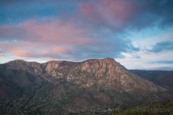EC233 is a photograph by T.M. Schultze taken 2024 at Blossom Valley, California