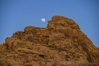 NV305 is a photograph by T.M. Schultze taken 2014 at Muddy Mountains Wilderness, Nevada