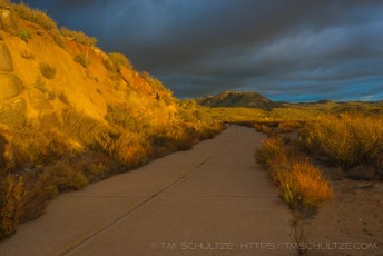 Storm Glen is a photograph by T.M. Schultze taken at Descanso, California