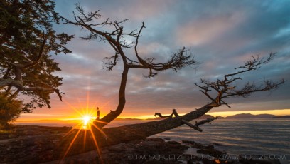 Washington Park Sunset is a photograph by T.M. Schultze taken at Anacortes, Washington
