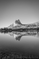 YNP27 is a photograph by T.M. Schultze taken 2014 at Yosemite National Park, California