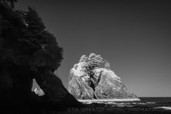 ONP4 is a photograph by T.M. Schultze taken 2014 at Olympic National Park, Washington