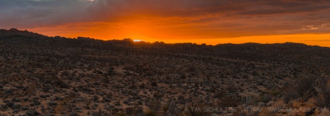 is a photograph by T.M. Schultze taken at Joshua Tree National Park, California