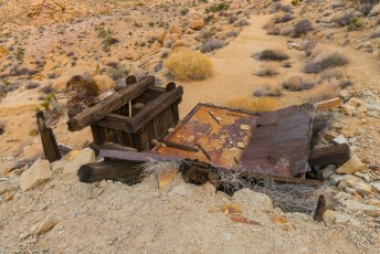 is a photograph by T.M. Schultze taken at Joshua Tree National Park, California