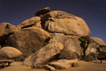 is a photograph by T.M. Schultze taken at Joshua Tree National Park, California