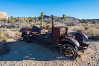 is a photograph by T.M. Schultze taken at Joshua Tree National Park, California